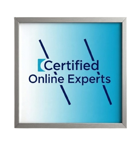 Official partner badge 1
